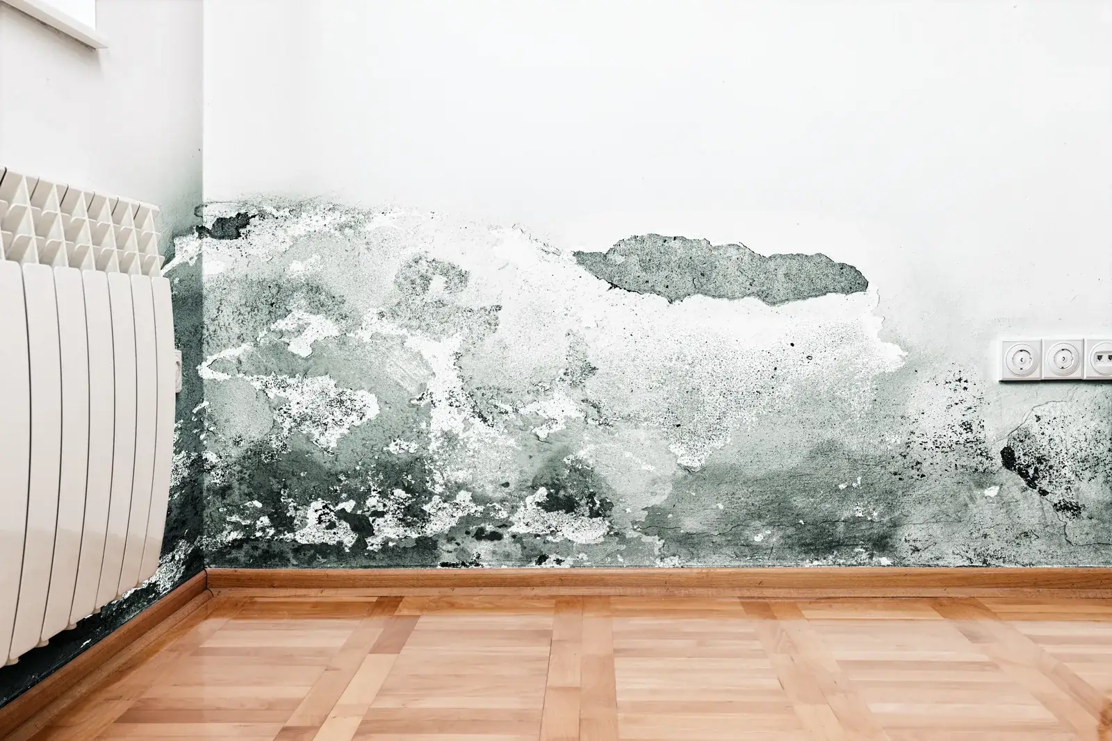Damp Proofing